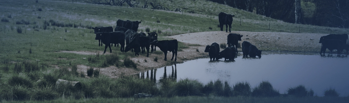 Screen Shot 2022-03-10 at 12.25.04 PM