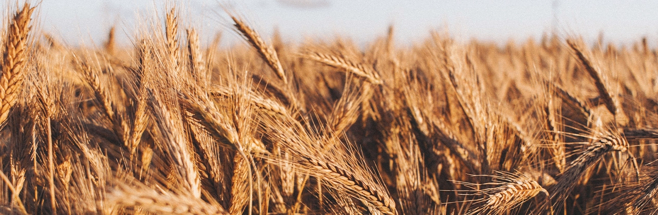 dn_hdr-blog_pr-david-boussios_220502 1