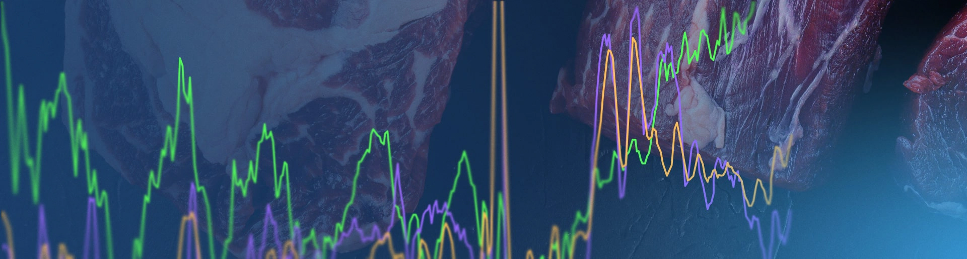 article_header_Beef_cutout_230316 1