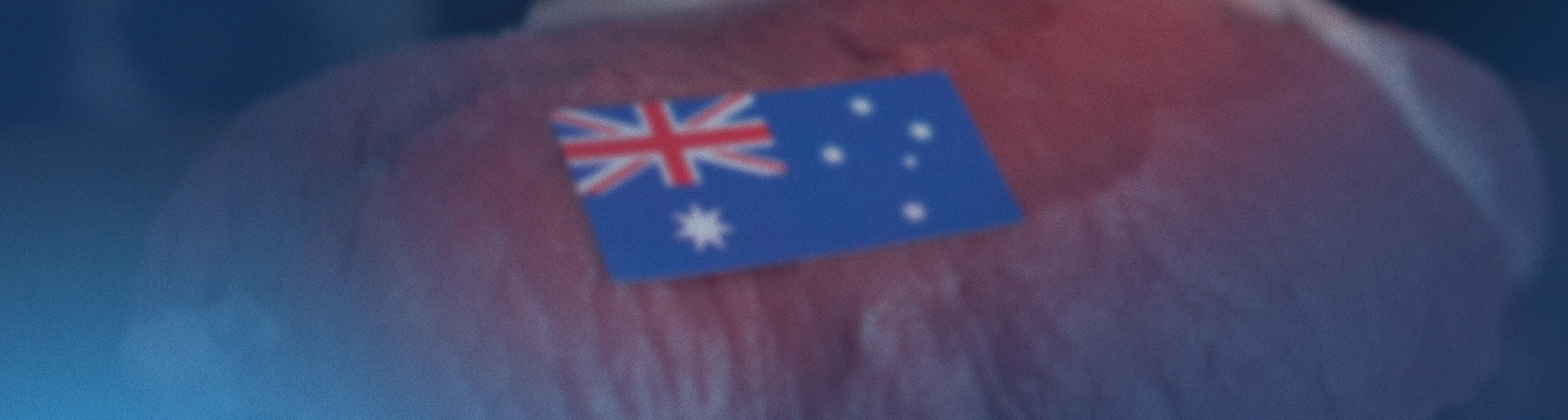 Image blog header Australian lean beef