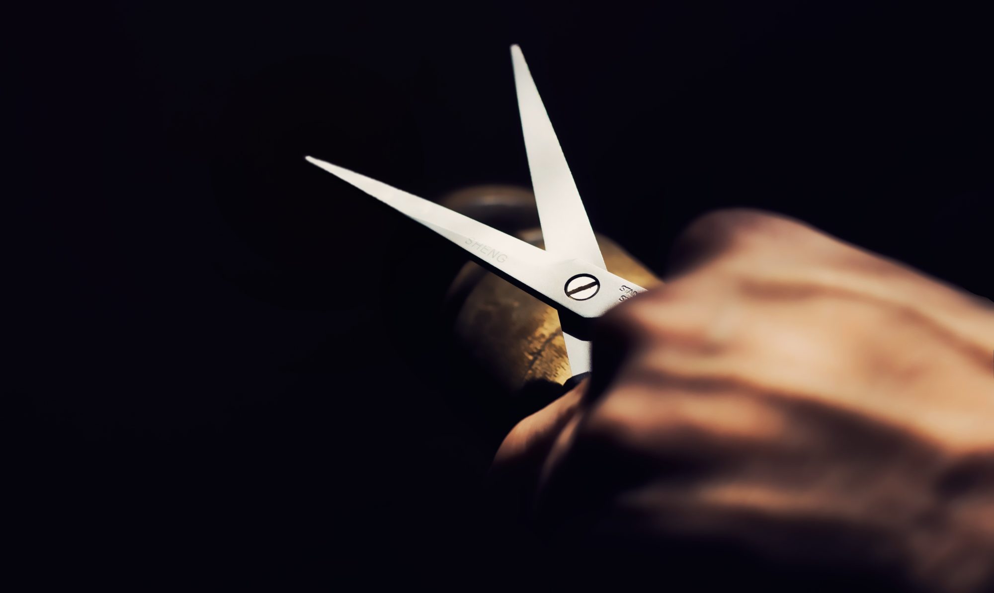 To cut or not to cut? DecisionNext To cut or not to cut? DecisionNext