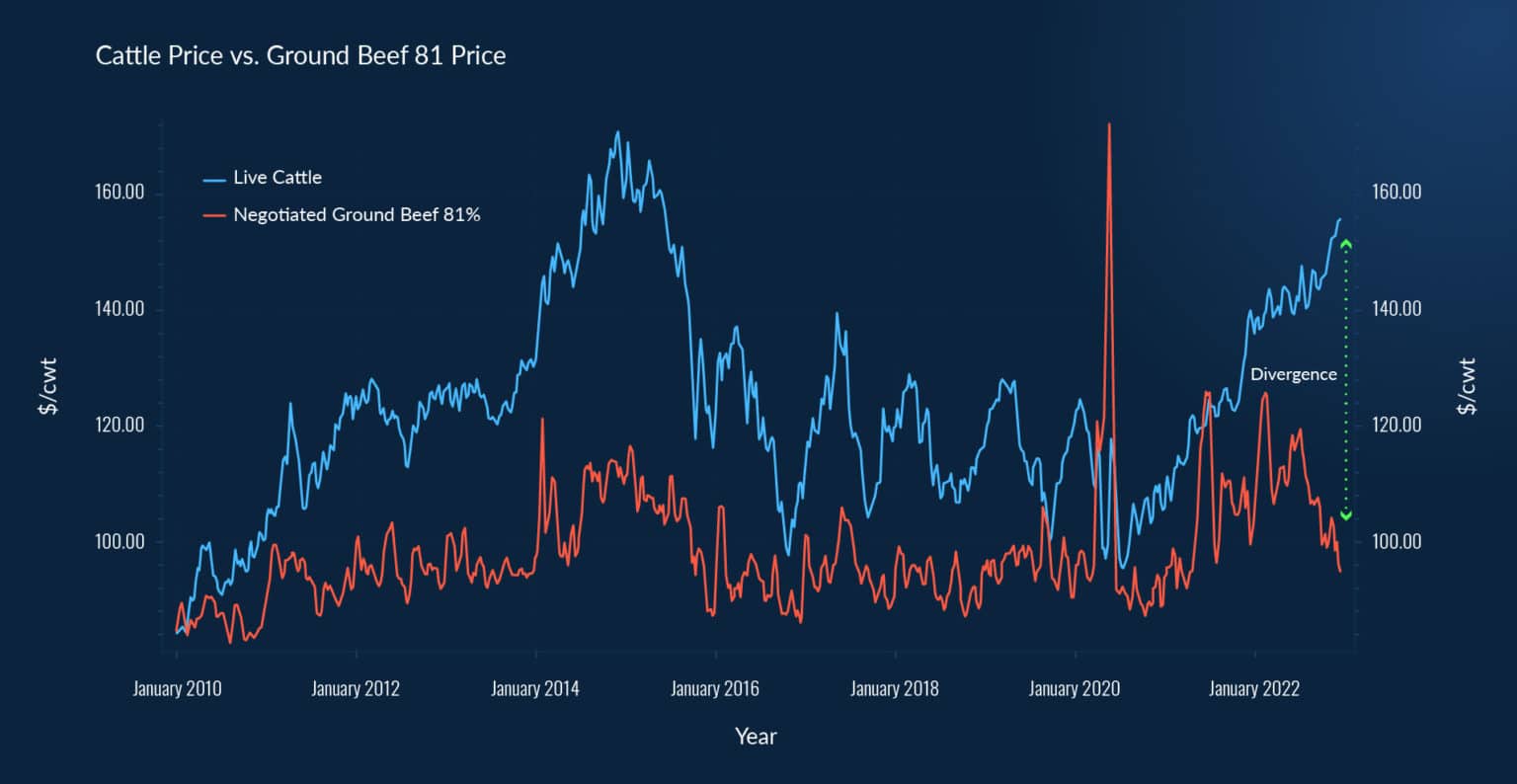 Ground Beef Market Outlook DecisionNext